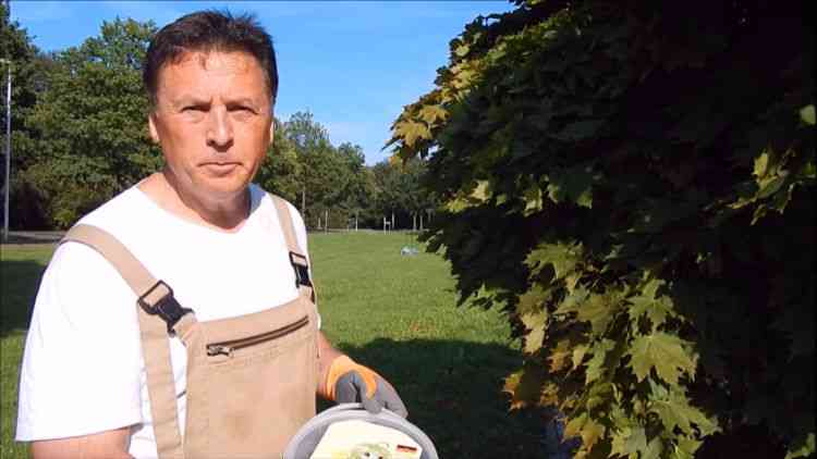 Vorschau «Goldene Fee» – organischer Bio-Dünger für gesunde Bio Lebensmittel aus dem eigenen Garten